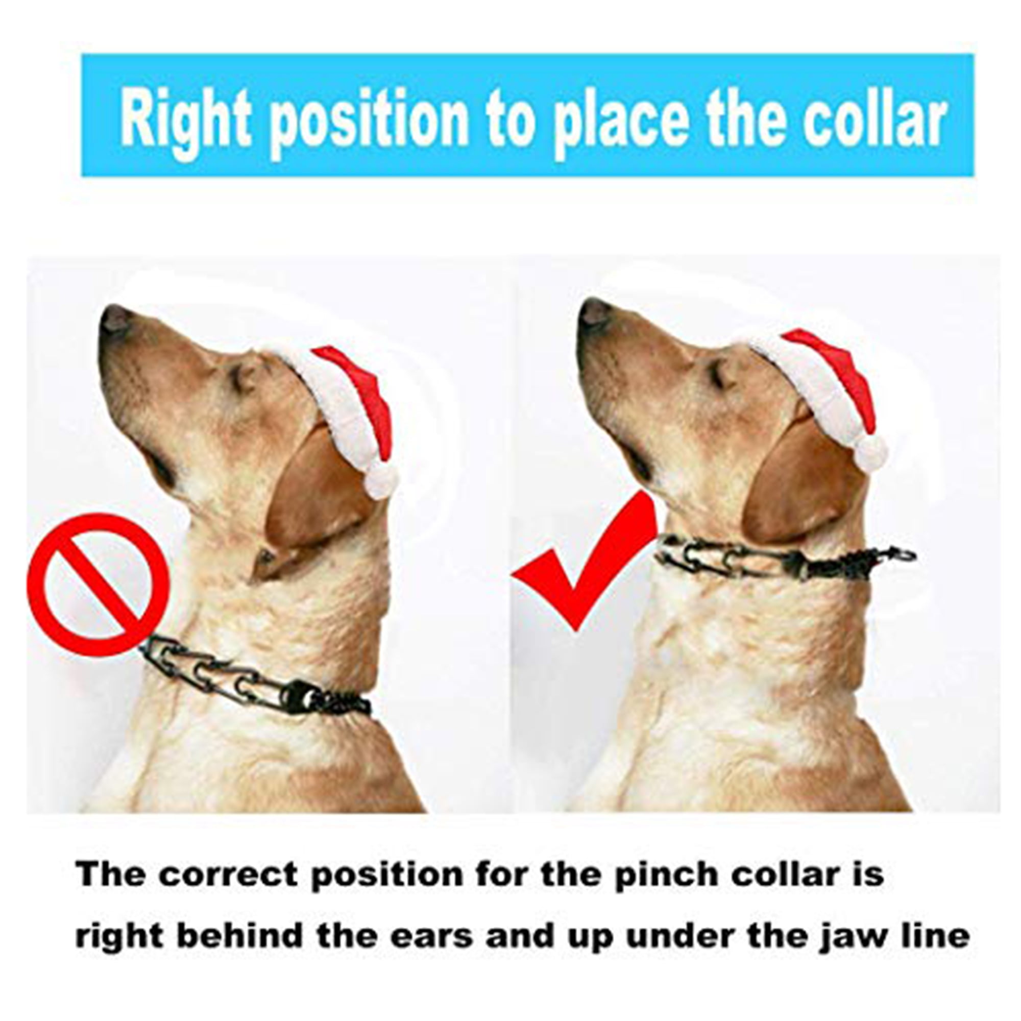 How Should U Place A Prong Collar On A Dog