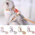 thumbnail image 1 of Travelwant No Pull Small Dog Harness and Leash Set, Puppy Soft Vest Harness Neck & Chest Adjustable, Reflective Lightweight Harness & Anti-Twist Pet Lead Combo, 1 of 7