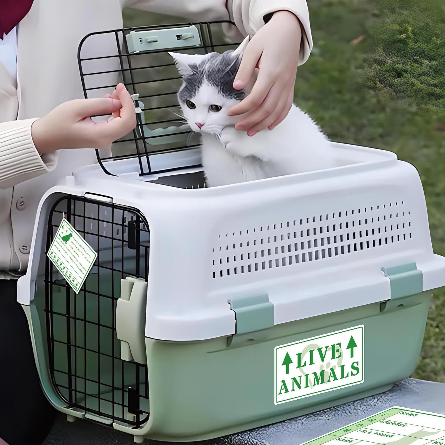20pcs Live Animals with Arrow Sticker Live Animal Stickers for Airline Cargo Crates Live Animal Shipping & Handling Instruction Labels