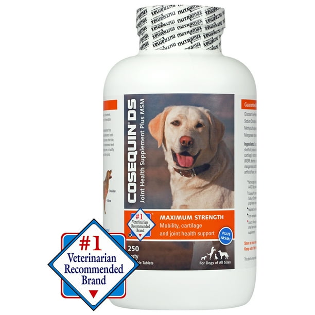Nutramax Laboratories Cosequin DS Maximum Strength Plus MSM Joint