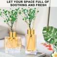 thumbnail image 2 of Diffuser Glass Bottles Set of 5 DIY Empty Clear Glass Fragrance Bottle with Gold Caps Reeds Sticks Vase Decorative Diffusers for Home Office Desk Decoration Wedding Replacement Girl Women, 2 of 6