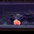 thumbnail image 1 of OUNONA Natural Para Acuario Coral Roja En Silicona Sin Contaminación, 1 of 6