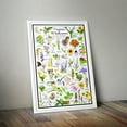 thumbnail image 4 of Virginia Wildflowers Poster - Native Grassland Blooms - Educational Science Chart of Virginia Flowers, 4 of 5