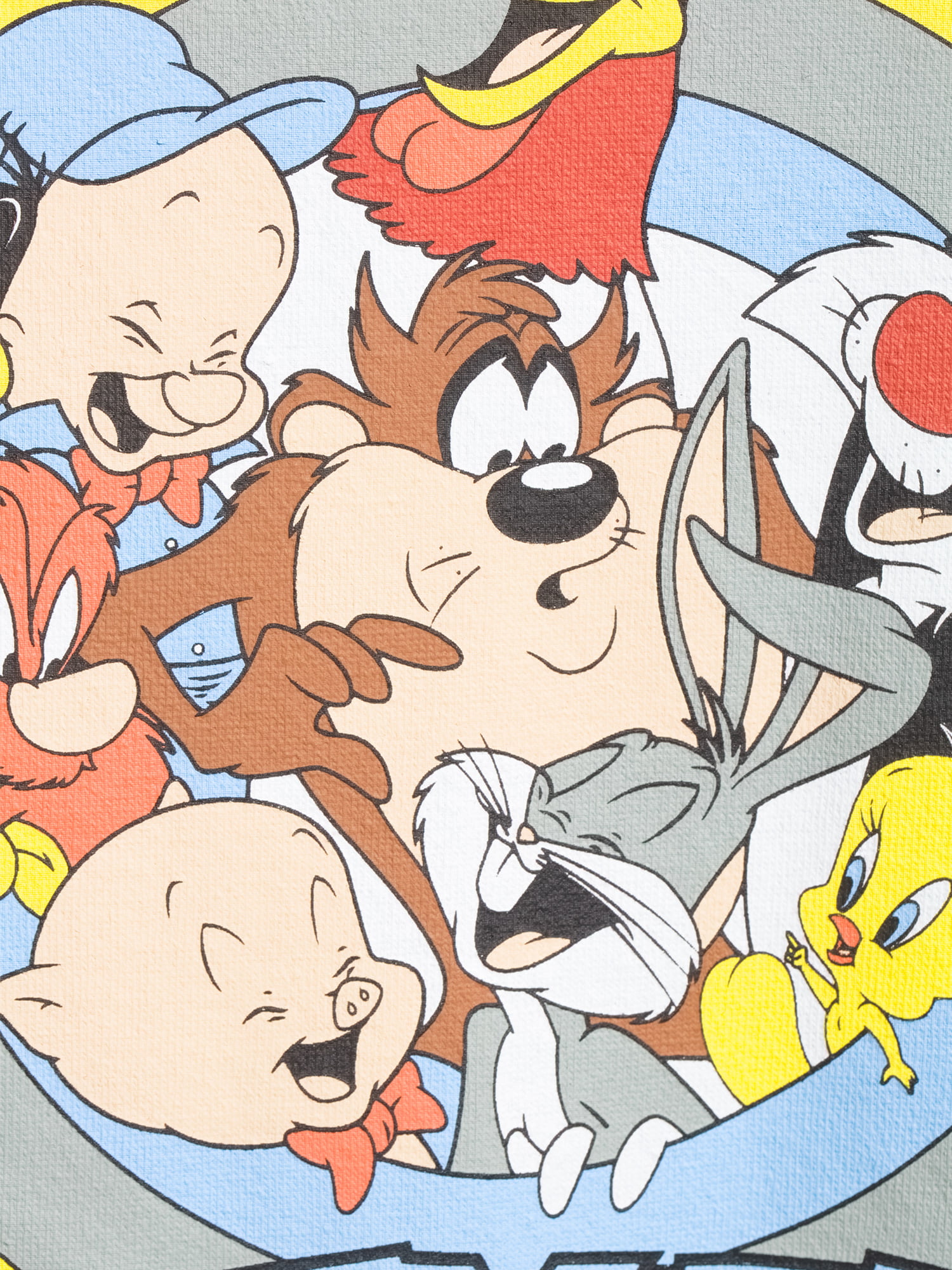 Looney Tunes Cast Men's & Big Men's Tie Dye Graphic Hoodie