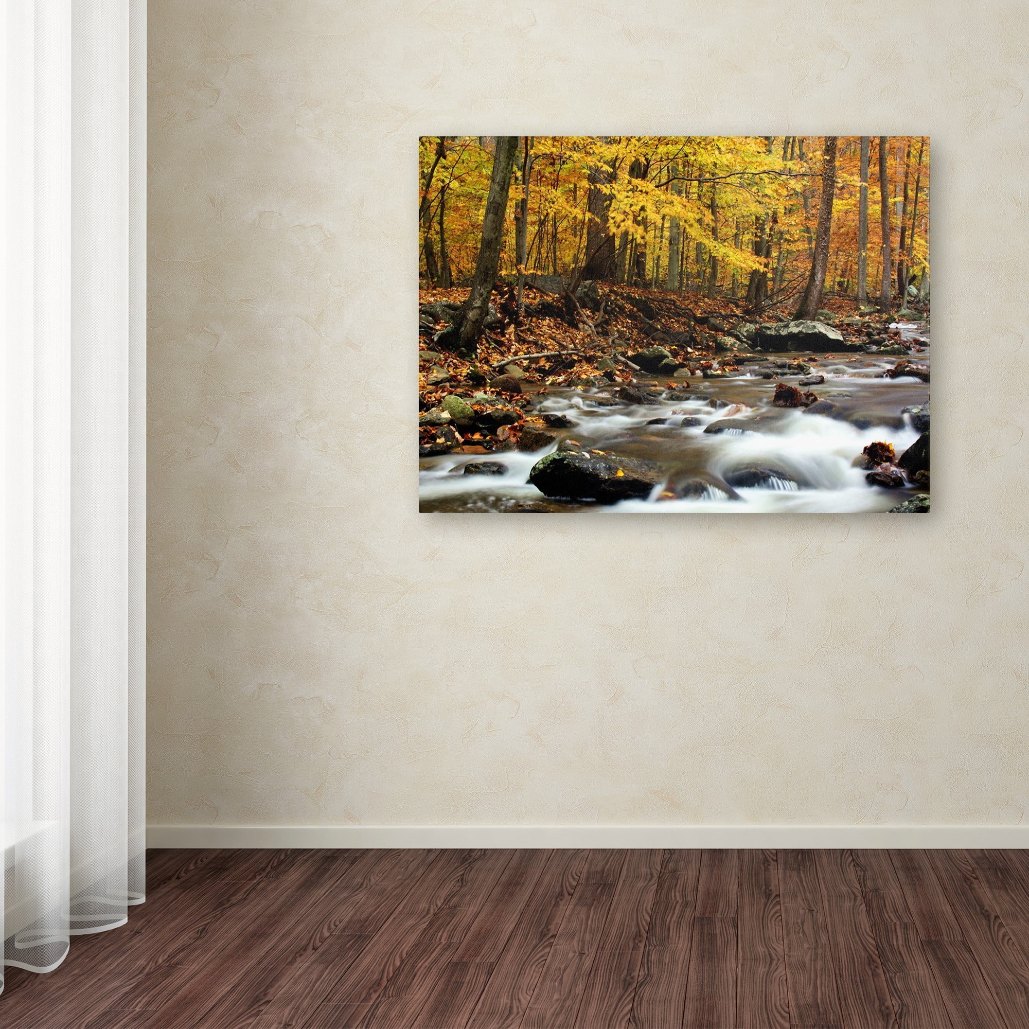 Trademark Art "Autumn's Fire II" Canvas Art by CATeyes