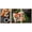 NATURAL, variant on wall26 Framed Canvas Print Wall Art Sushi, Make Roll &amp; Green Tea on Stone Table Food Culinary Photography Realism Decorative Natural Vibrant Diet for Living Room, Bedroom, Office - 16"x24&qu
