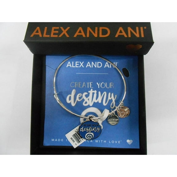 Alex and Ani Words Are Powerful, Create Your Destiny Bangle Bracelet Shiny Silver Finish With Box and Card