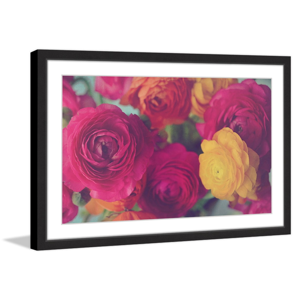 Marmont Hill "Ranunculus Fuchsia" Framed Painting Print