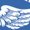 Royal Blue, variant on American Original Shelby Since 1962 T-Shirt Cobra Wings Classic Muscle Car GT500 Mustang Powered by Ford Women's Tee