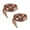 Red brown leopard pa-80cm, variant on Print Flat Shoelaces For Casual Shoes Sports Sneakers Boot Soft Polyester Satins Shoe Strings Fashion Accessory