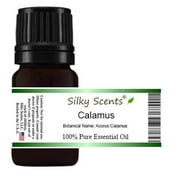 Calamus Essential Oil (Acorus Calamus - Sweet Cane - Sweet Flag) 100% Pure Therapeutic Grade - 5 ML