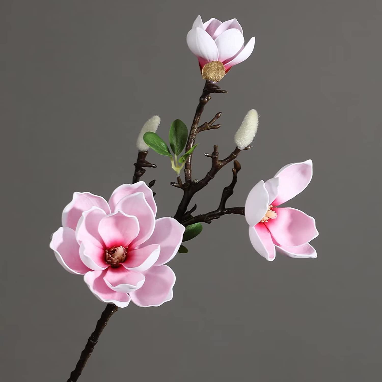 Kitchen Boa Coffee Helps – 2 Pink Magnolias