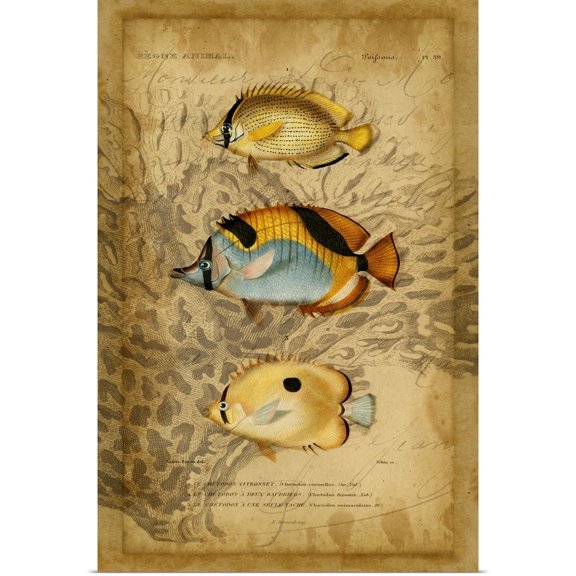 Great BIG Canvas | Rolled Vision Studio Poster Print entitled Ocean Trilogy II