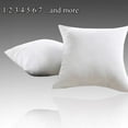 thumbnail image 1 of 24x24 Decorative Throw Pillow Inserts-Down Feather Pillow Inserts-White, 1 of 6