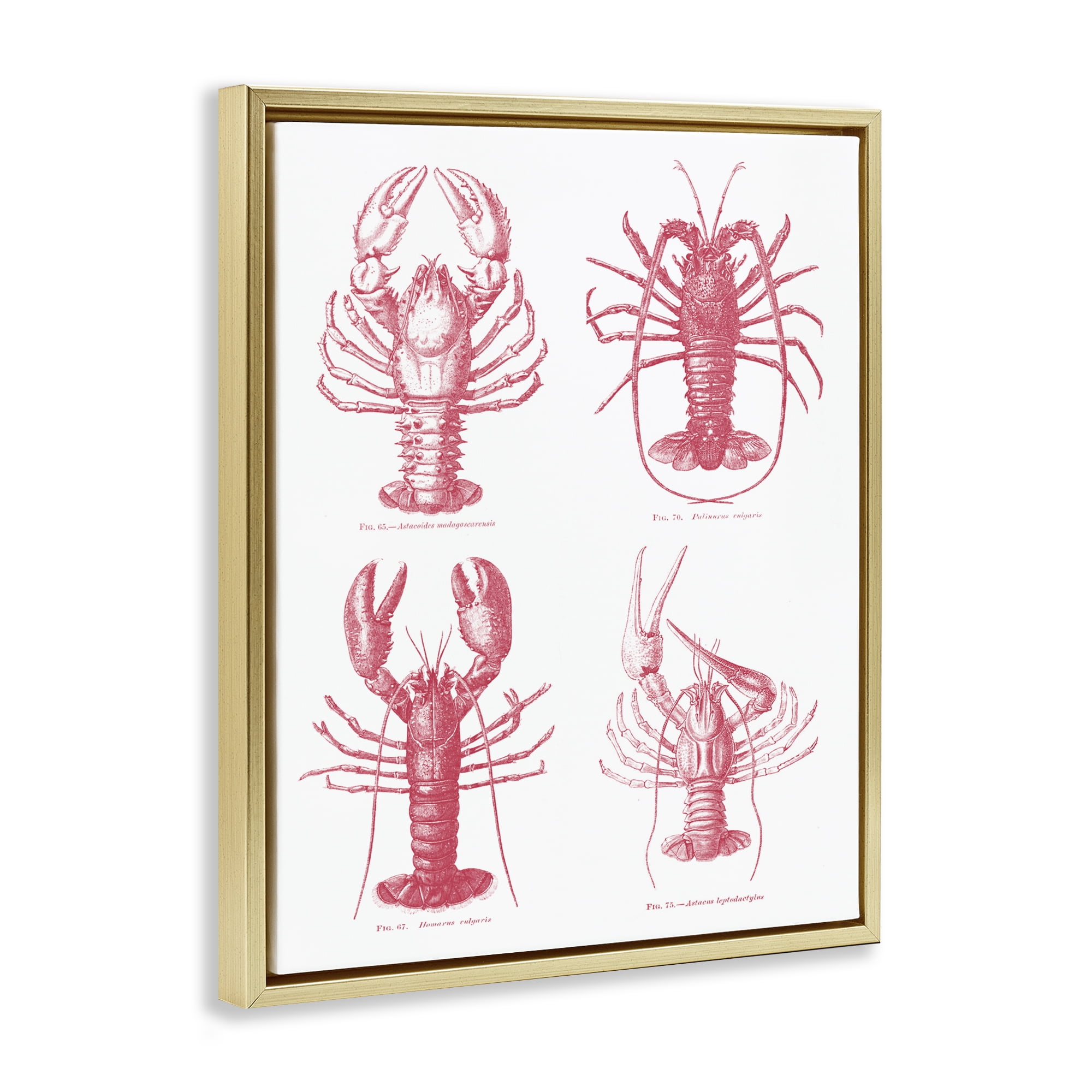 Timeless Lobsters Species Gold Framed Floater Canvas Wall Art, design by Lettered and Lined