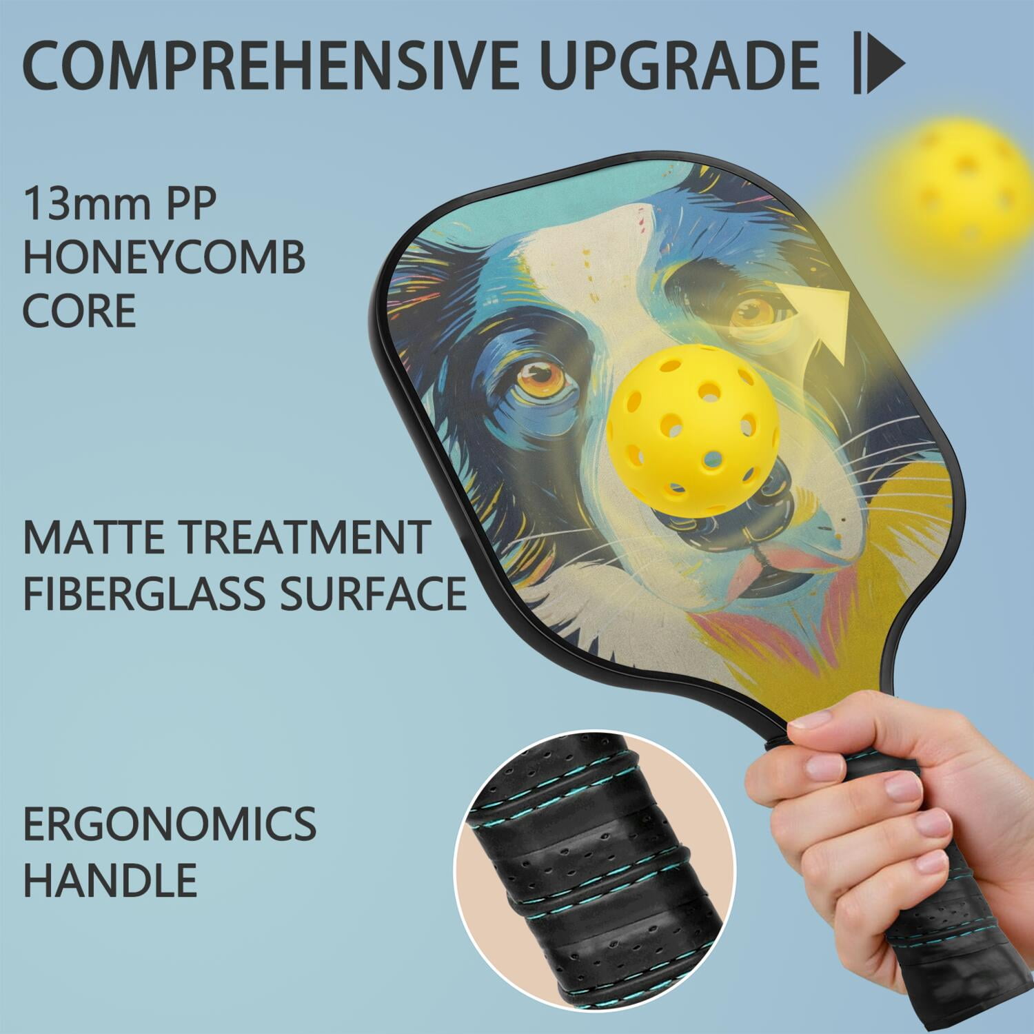 Pickleball Paddles Set Of 2, Fiberglass Surface, Astonished Dog Print, 4 Balls & Bag