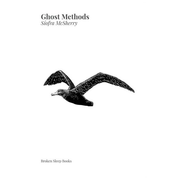 Ghost Methods (Paperback)