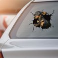 thumbnail image 3 of TIMIFIS Stickers Car Sticker Window Sticker Pet Lover Sticker Cars Crack Decal Walls Laptops Halloween Decorations - Fall, 3 of 3