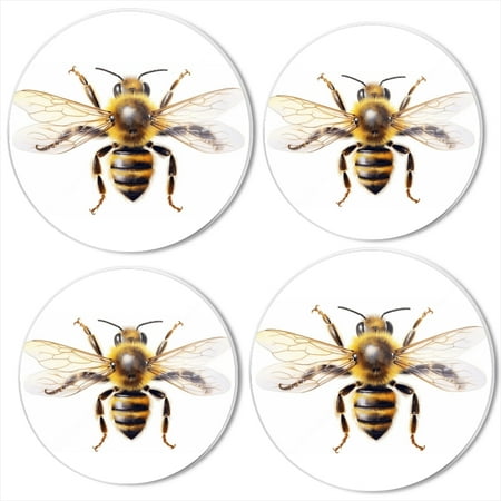 

Bahomeck Electric Stove Burner Covers Set Of 4 Detailed Illustration Of Bee Isolated On White Metal Gas Stove Burner Covers Protecting Gas Stoves 8 Inch And 10 Inch