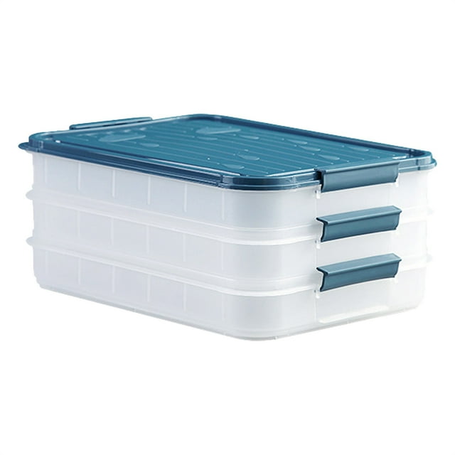 BINGLI Refrigerator Food Organizer Plastic Food Storage Containers Dumpling Box Food Freezer Box Keep Fruits Vegetables Meat And More Kitche Fridge Freezer Refrigerator Food Containers