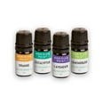 thumbnail image 4 of Collections Etc Meridian Point Mini Portable diffuser with essential oils, 4 of 5