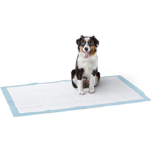 Almohadilla de entrenamiento para perros y cachorros, altamente absorbente, resistente, tamaño jumbo (79 x 119 cm) - paquete de 30