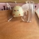 thumbnail image 5 of Juguete de prensa de pollo suave y esponjoso, mini pollitos de peluche, lindos pollitos suaves que alivian el estrés., 5 of 6