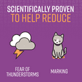 thumbnail image 4 of SENTRY Portable Calming Pheromone Diffuser Refill Pods for Cats, Helps Reduce Anxiety, 2 Count, 4 of 7