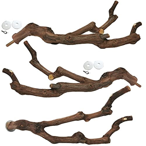 Natural Parrot Perch Bird Stand Pole Wild Grape Stick Paw Grinding Fork Parakeet Climbing Standing Branches Toy Chewable Cage Accessories for Small Budgies Cockatiels Lovebirds 3PCS