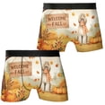 thumbnail image 3 of Welcome Fall Afghan Hound Cozy Autumn Field Pumpkins Golden Leaves All Over Print Boxer Briefs Underwear for Men Dad Dog Lover - 12013, 3 of 6