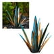 thumbnail image 4 of LUVCLS Escultura rústica de tequila, planta de agave de metal, decoración de jardín, arte ¡CALIENTE!, 4 of 7