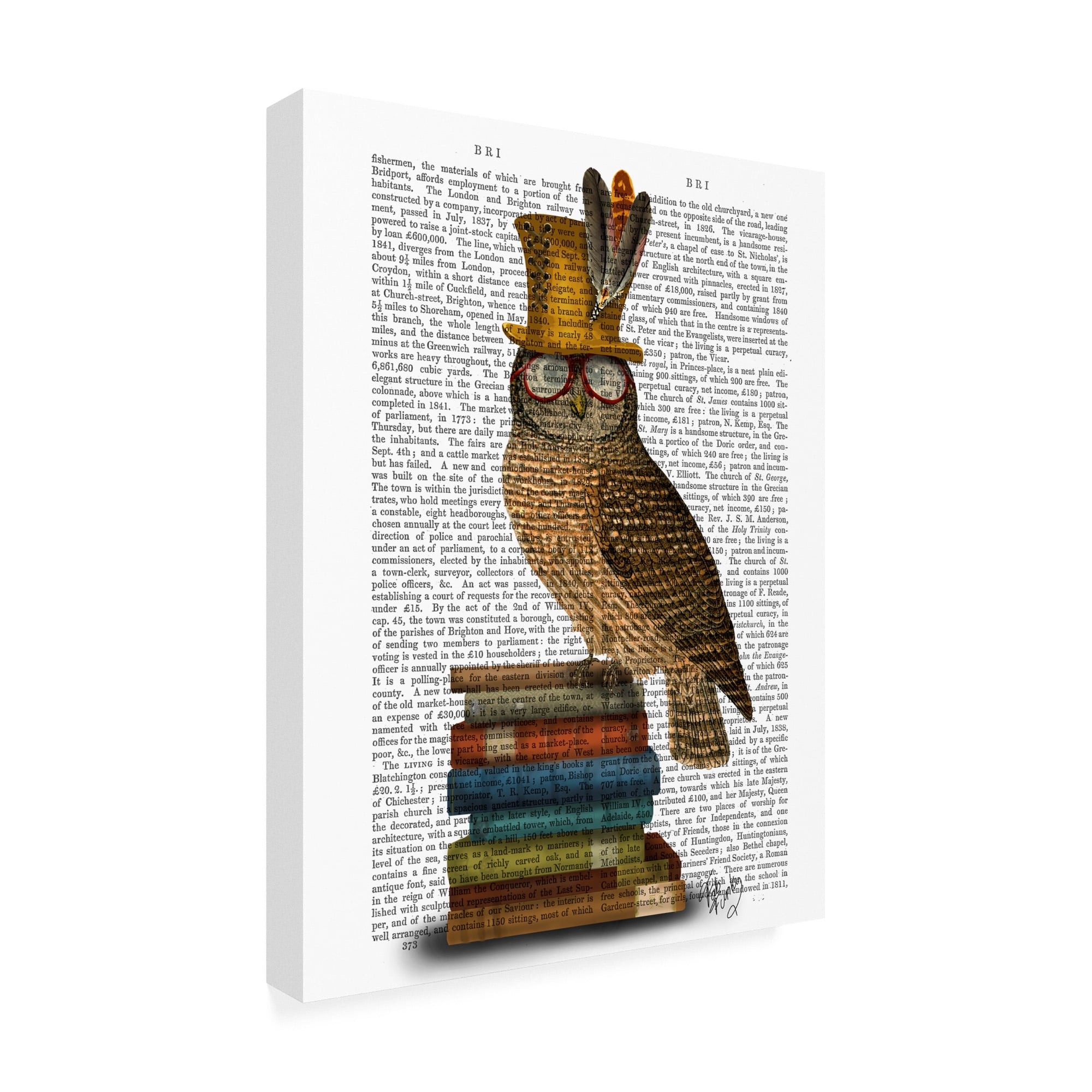 Trademark Fine Art 'Owl On Books' Canvas Art by Fab Funky
