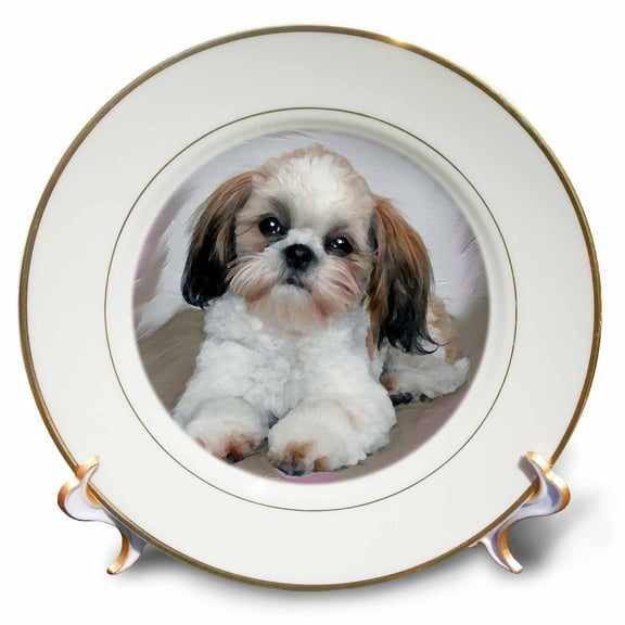 3dRose, Shih Tzu puppy, 8 inch Porcelain Plate