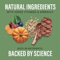 thumbnail image 3 of Specialized Nutrition - Digestive & Immune Health Lamb & Oatmeal Formula - Dry Dog, 3 of 5