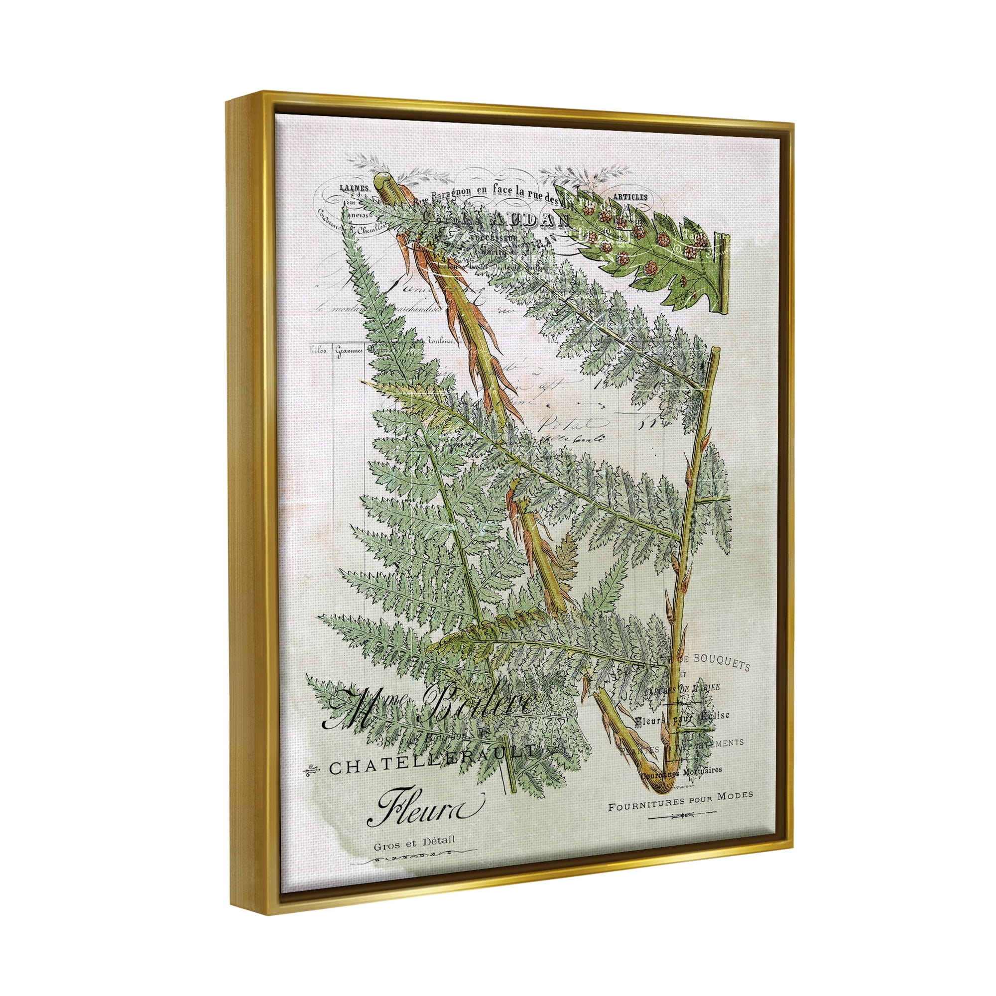 Stupell Vintage Vegetation Various Ferns Botanical & Floral Painting Gold Floater Framed Art Print Wall Art