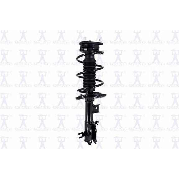 Suspension Strut and Coil Spring Assembly