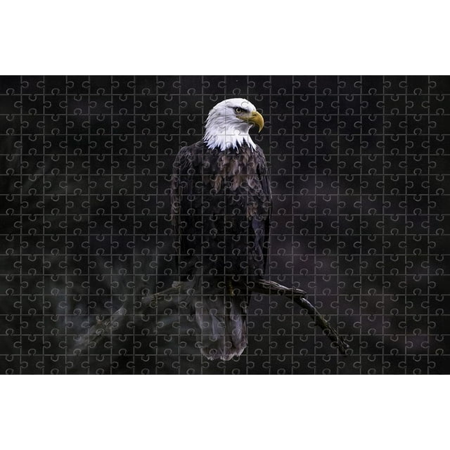 500 Piece Jigsaw Puzzle for Adults Closeup Shot Bald Eagle Tree Branch Looking Its Prey