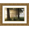 thumbnail image 1 of Croce, Vincent 14x11 Gold Ornate Wood Framed with Double Matting Museum Art Print Titled - First day of summer, 1 of 4
