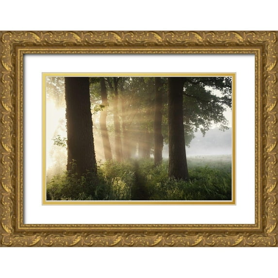 Croce, Vincent 14x11 Gold Ornate Wood Framed with Double Matting Museum Art Print Titled - First day of summer