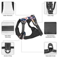 thumbnail image 6 of Lsque Abstract Leopard Print Dog Harness, No-Pull Pet Harness with 2 Leash Clips, Adjustable Soft Padded Dog Vest with Easy Control Handle for Large Dogs-Medium, 6 of 9