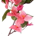 thumbnail image 4 of Bougainvillea Artificial Flowers, Faux Bougainvillea Flowers Bulk Bouquest for Vase, Fake Silk Floral 37.4 inches Long Stems for Wedding, Indoor, Outdoor Decoration (4PCS, Hot Pink), 4 of 5