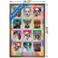 thumbnail image 2 of Keith Kimberlin - Chiots - Lunettes de soleil, 2 of 4