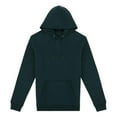 thumbnail image 1 of Native Spirit  Adult Heavyweight Hoodie, 1 of 1