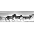 thumbnail image 2 of Linden, Sally 18x9 White Modern Wood Framed Museum Art Print Titled - Rolling By, 2 of 4