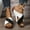 Black#71, variant on Women's Fashion Casual Beach Slides – Cross-Strap Color-Block Style with Chunky Wedge Heel, Spring Outdoor Leisure Sandals for Travel and Comfort,Plus Size