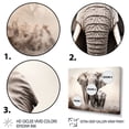 thumbnail image 3 of Designart "Black And White Elephant Beauty Of Strength II" Animals Floater Framed Canvas Art Print, 3 of 7