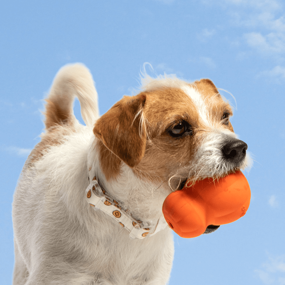 Oodles Durable Rubber Orange Fillable Interactive Dog Treater, Medium