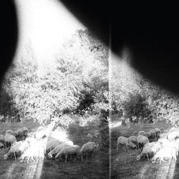 Godspeed You! Black Emperor - Asunder Sweet & Other Distress - Music & Performance - Vinyl