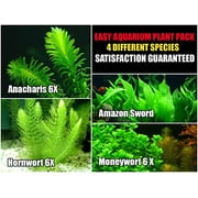 Easy Live Aquarium Plants Package - 4 Kinds - Anacharis, Amazon and more!