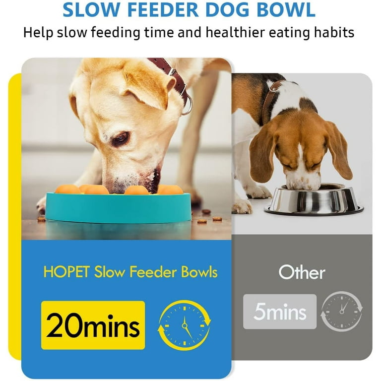 Pet Puzzle Toy Slow Feeder Bowl For Dog & Cat, Interactive Dog Toy For  Treats Training - Temu